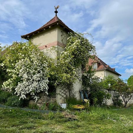 La Maison Du Parc Saint-Raphael  ภายนอก รูปภาพ