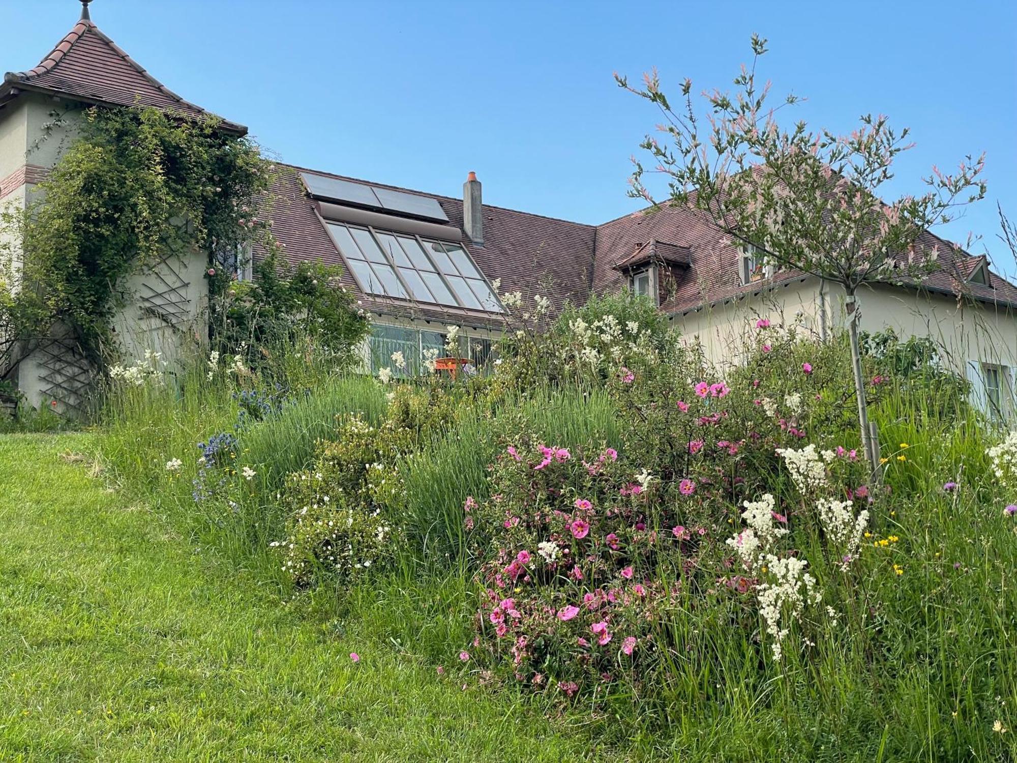 La Maison Du Parc Saint-Raphael  ภายนอก รูปภาพ